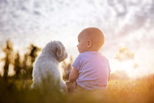 A baby and a dog watching the sunset.
