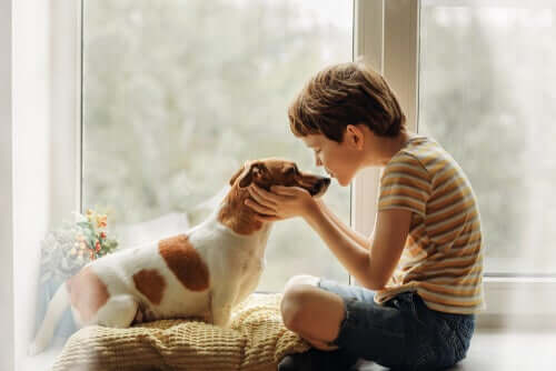 Coronavirus and Dog Kisses: Are They Safe?