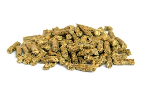 A picture of rat feed, important for rat care.