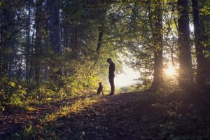 A man in the woods with his dog.