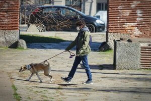 Can You Be Fined for Taking Your Dog for a Walk During Lockdown?