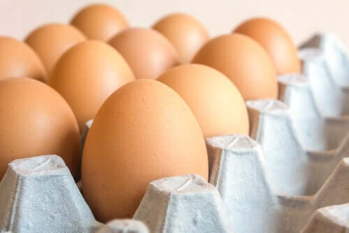 Eieren