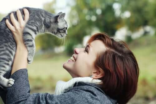 Adopting stray cats is much better than just feeding them.