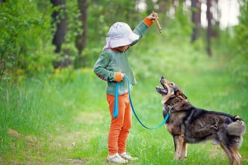 A child training a dog.
