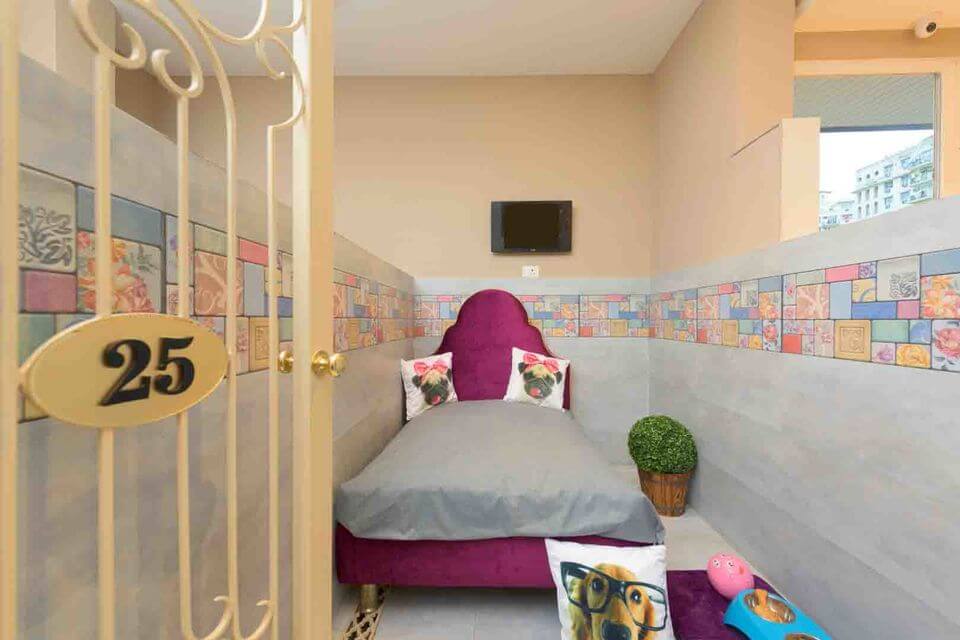 The Critterari dog hotel.