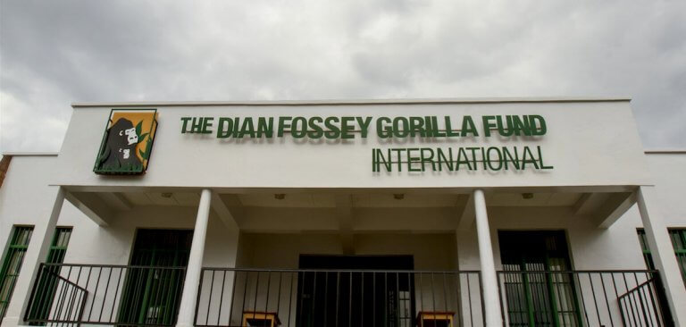 Who Was Dian Fossey?