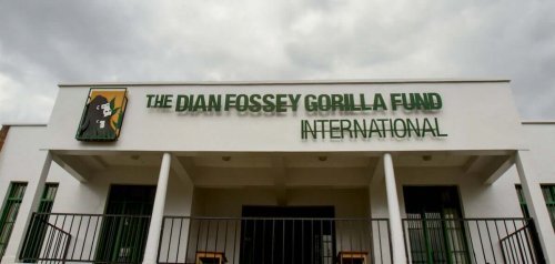 Ποια ήταν η Dian Fossey;