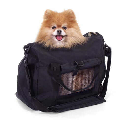 A small dog in a pet carrier.
