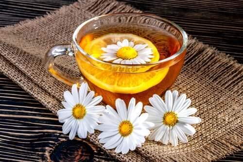 A cup of chamomile tea with chamomile flowers.