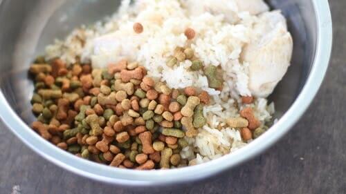 Dog food mixed with rice.