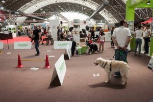 Tips for Taking Your Dog to a Pet Expo
