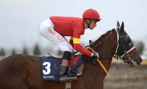 A jockey racing a horse.