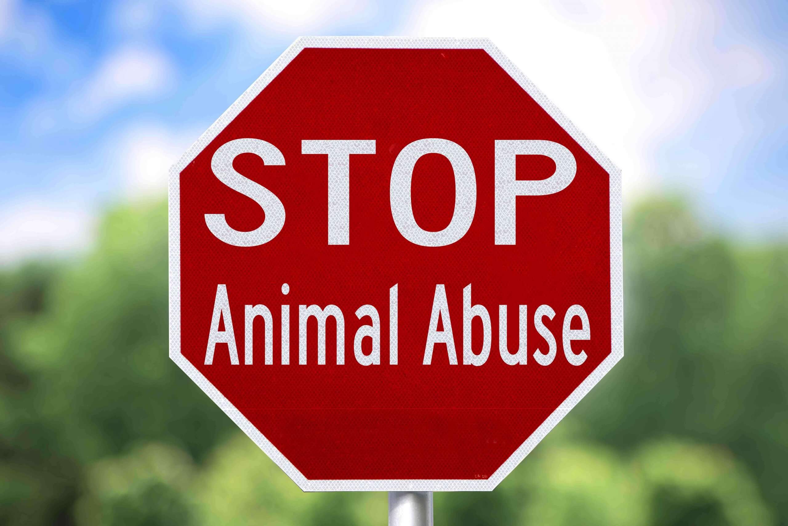 A "stop animal abuse" sign.