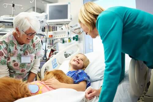 A therapy dog at a hospital.