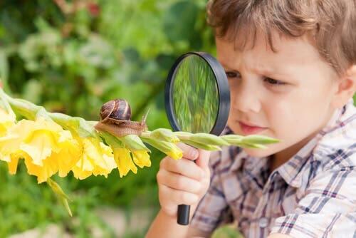 A photo of a boy inspired by snail breeding.