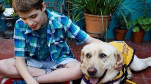 A guide dog with a young boy.