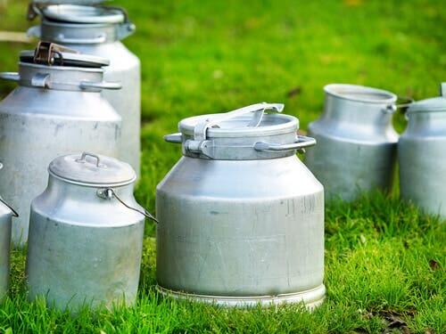 Vissa mjölktyper är pastöriserade, andra termiserade.