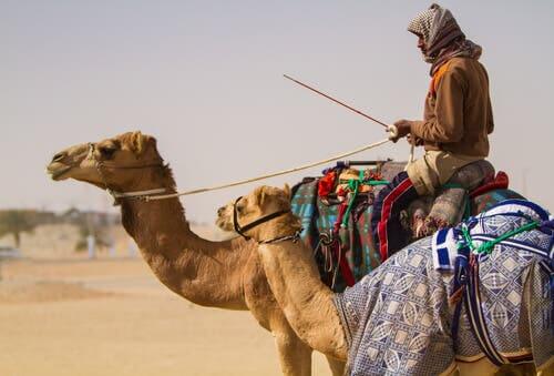 A person riding a camel in the desert.
