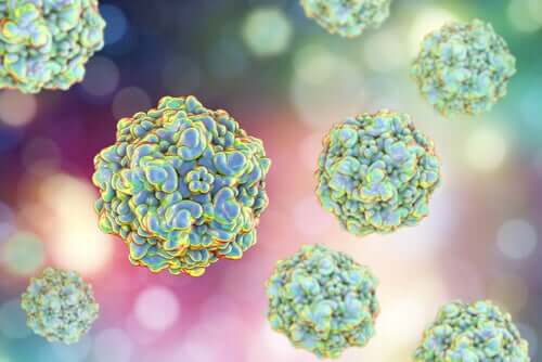 Microorganisms that Cause Chronic Fatigue in Animals