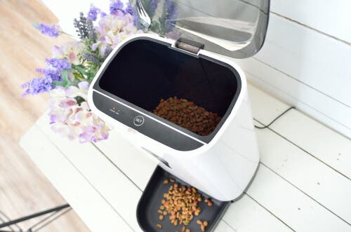 Automatic dog feeders are a great option if you're not home for long periods.