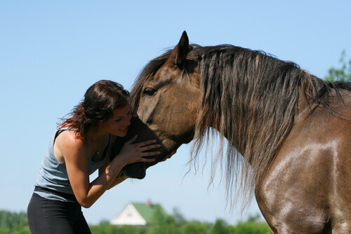 A woman hugging a horse.