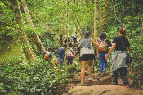 A group of people hiking in the forests.