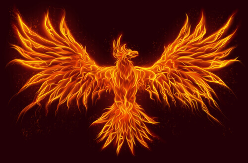 Phoenixes are mythological animals.