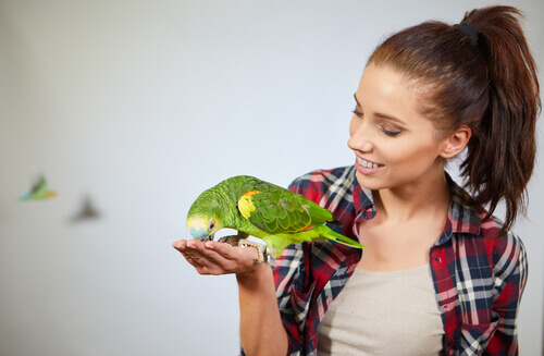 The Amazing Cognitive Abilities of Parrots