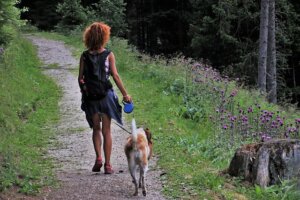 5 Tips for Camping with Your Dog