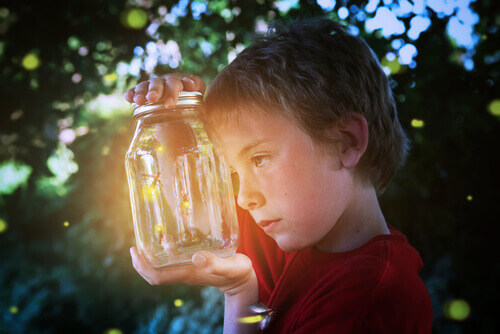 Everything You Wanted to Know About Fireflies
