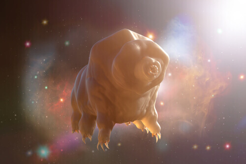 A tardigrade floating in space.