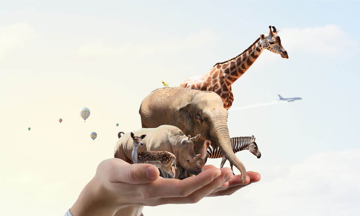 A pair of giant hands holding a variety of animals from Africa.