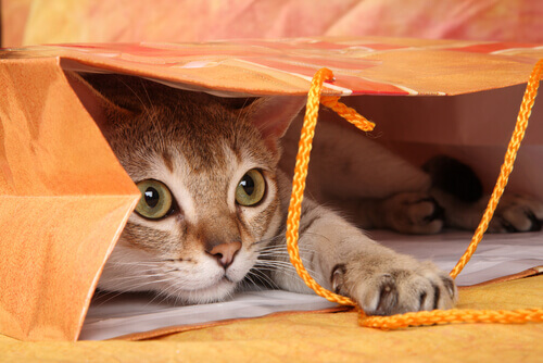 A cat hiding in a paper bag.