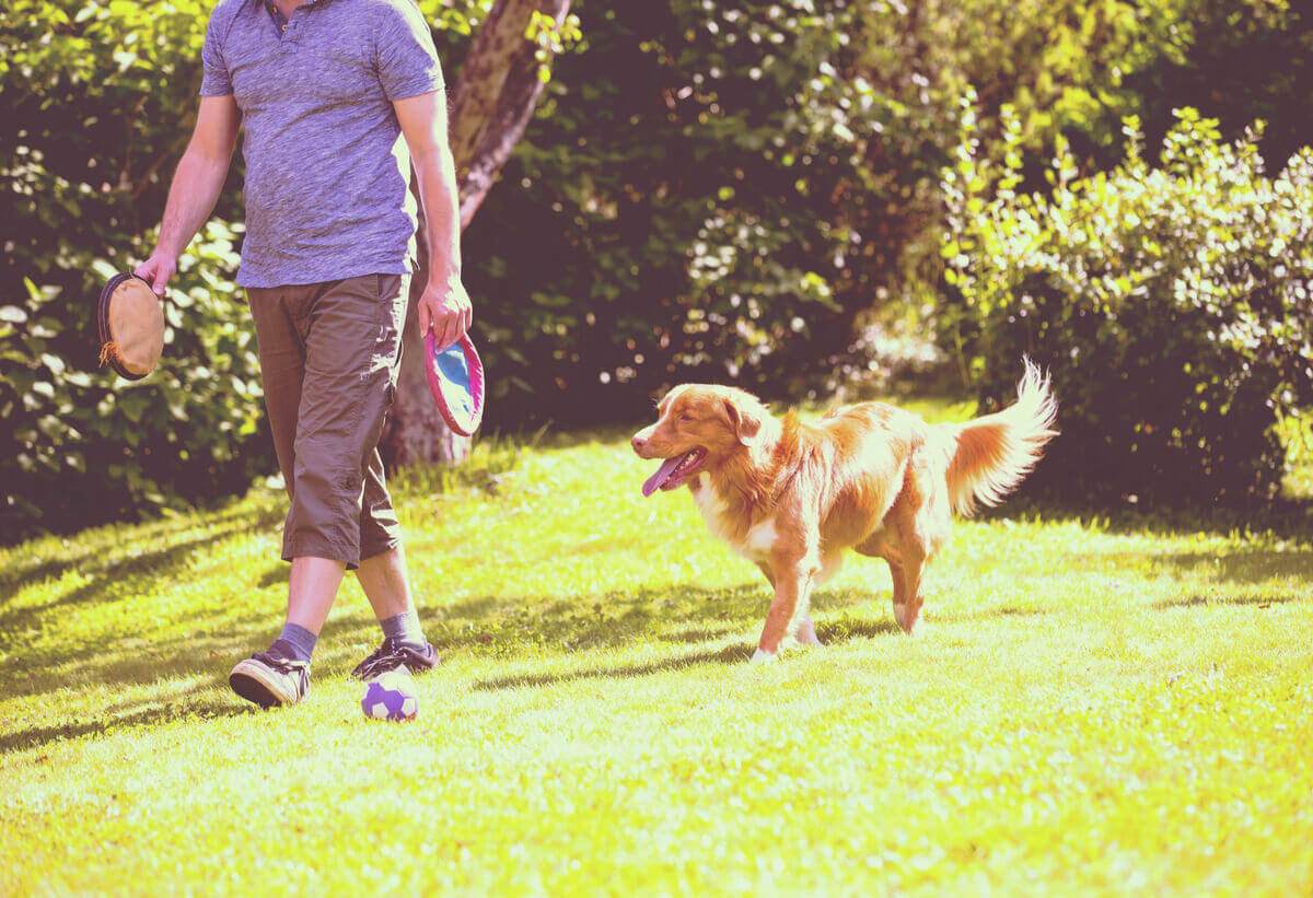 A dog following its owner.