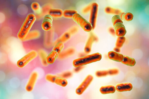 A closeup of bacteria.