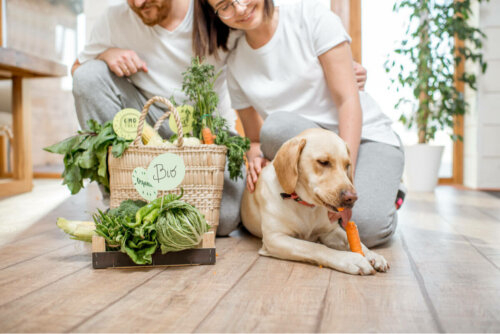 Two people, a dog, and a bag of vegetables.