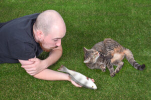 A Cat's Social Interaction: 4 Interesting Facts