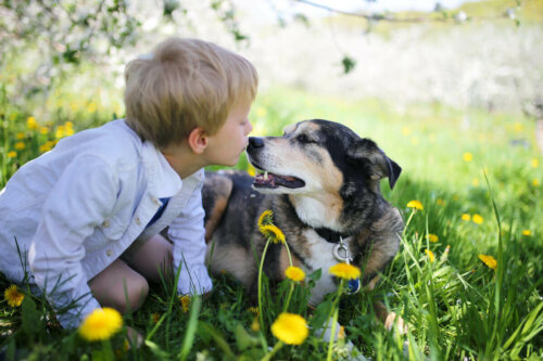 A happy dog and child.
