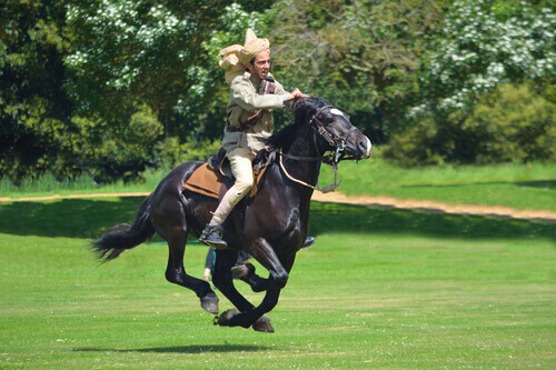 Tent pegging is an equestrian sport.