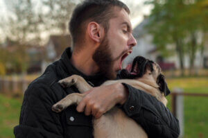 Dogs Perceive Their Guardians' Stress