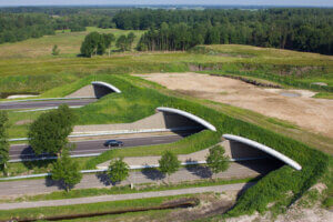 Wildlife crossing on top of a highway.
