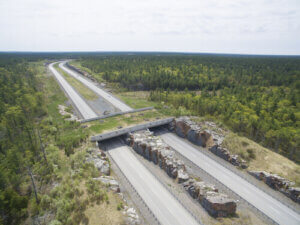 What Are Wildlife Crossings?
