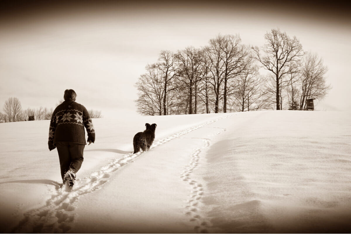 A woman walking her dog in the snow.