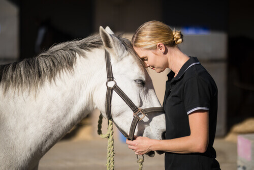 The bond between a girl and her horse.