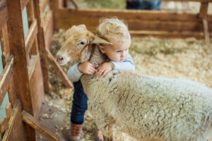 A child hugging a sheep.