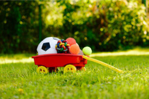 Enriching the dog's life.