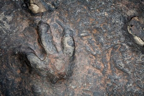 Places to see dinosaurs and footprints.