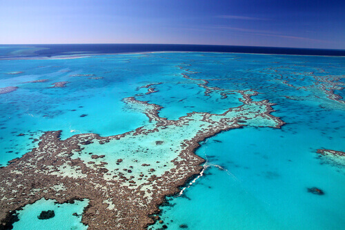 Welcome to Australia's Great Barrier Reef.