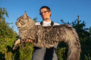 An enormous cat.