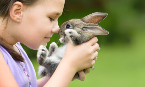 Activities with rabbits for children.
